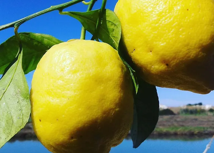 Couette-café Torre Del 3*