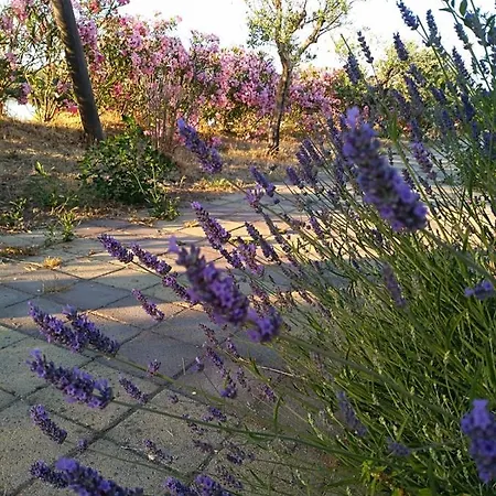 ベッド・アンド・ブレックファスト Torre Del 3*