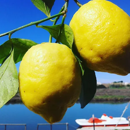 ベッド・アンド・ブレックファスト Torre Del 3*