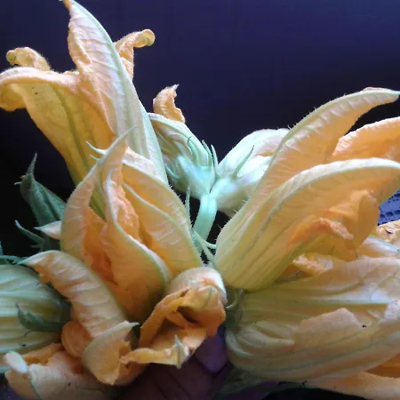 Torre Del ベッド・アンド・ブレックファスト 3*