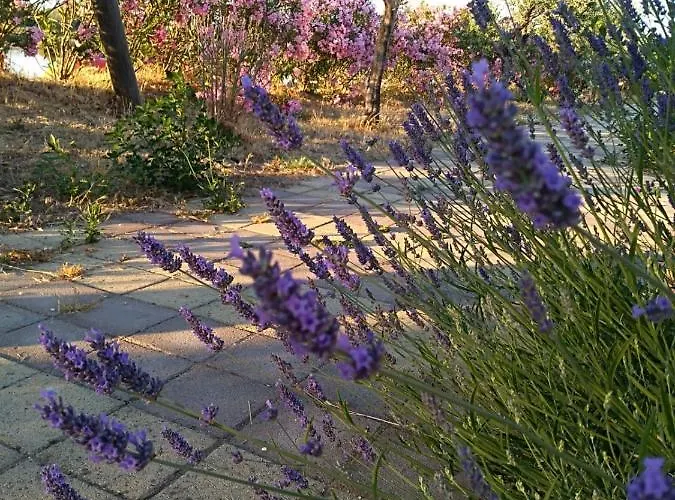 Bed & Breakfast Torre Del 3*